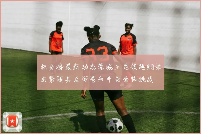 积分榜最新动态蓉城玉昆领跑铜梁龙紧随其后海港和申花面临挑战