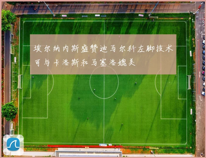 埃尔纳内斯盛赞迪马尔科左脚技术可与卡洛斯和马塞洛媲美