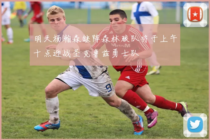 明天杨瀚森缺阵森林狼队将于上午十点迎战圣克鲁兹勇士队