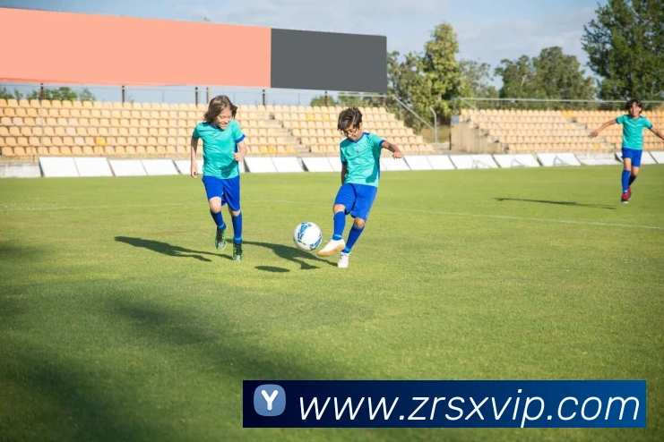 真人视讯服务体系